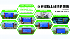 <b>2026年山东农业农产物做物最新保举榜发布：聚焦</b>